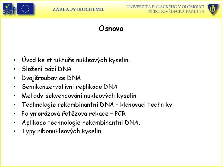Osnova • • • Úvod ke struktuře nukleových kyselin. Složení bází DNA Dvojšroubovice DNA
