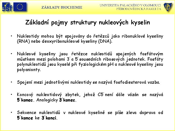 Základní pojmy struktury nukleových kyselin • Nukleotidy mohou být spojovány do řetězců jako ribonuklové