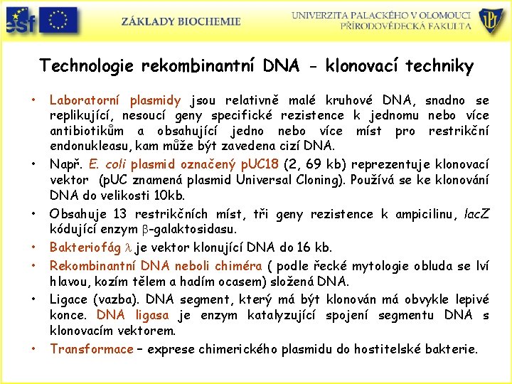 Technologie rekombinantní DNA - klonovací techniky • • Laboratorní plasmidy jsou relativně malé kruhové
