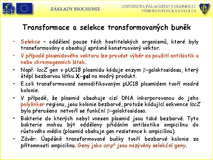 Transformace a selekce transformovaných buněk • • Selekce – oddělení pouze těch hostitelských organismů,