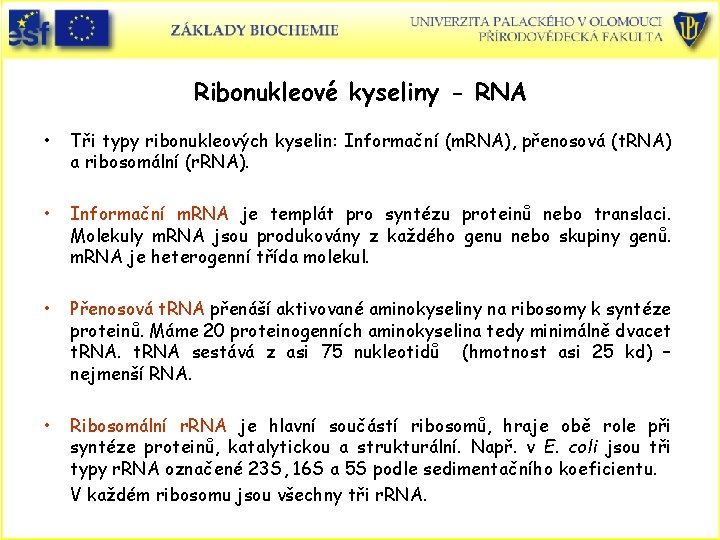 Ribonukleové kyseliny - RNA • Tři typy ribonukleových kyselin: Informační (m. RNA), přenosová (t.