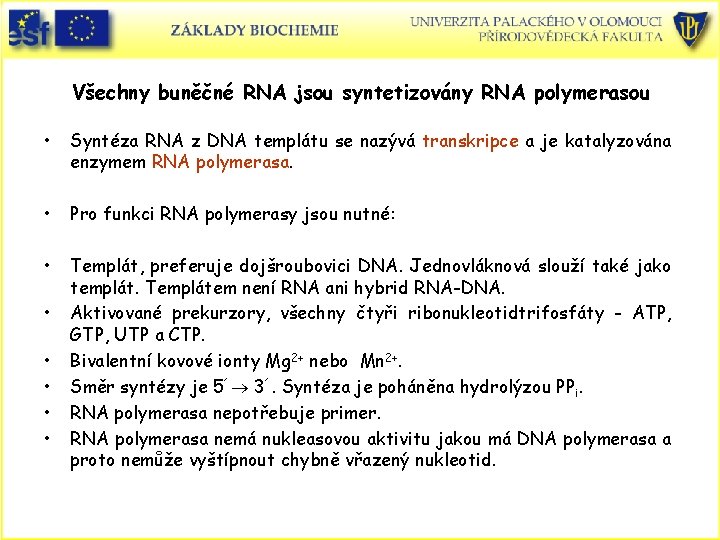 Všechny buněčné RNA jsou syntetizovány RNA polymerasou • Syntéza RNA z DNA templátu se