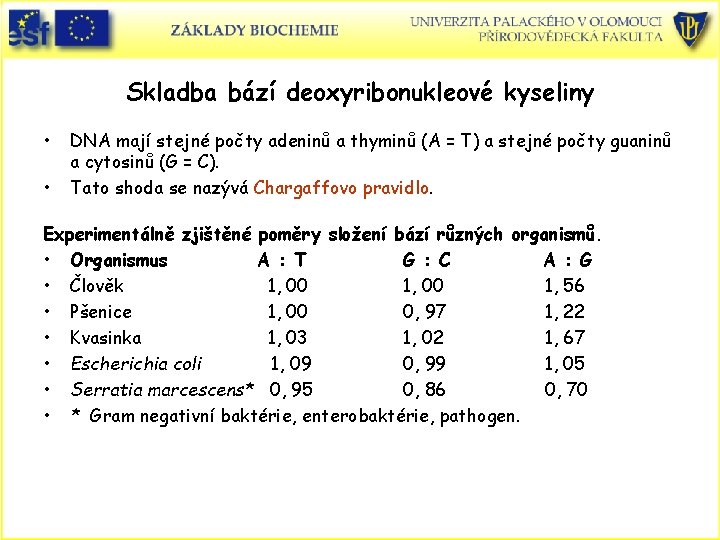 Skladba bází deoxyribonukleové kyseliny • • DNA mají stejné počty adeninů a thyminů (A
