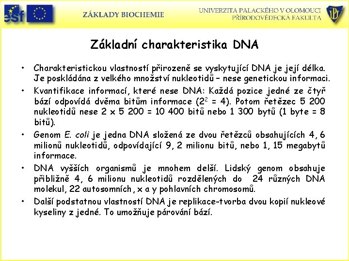 Základní charakteristika DNA • • • Charakteristickou vlastností přirozeně se vyskytující DNA je její