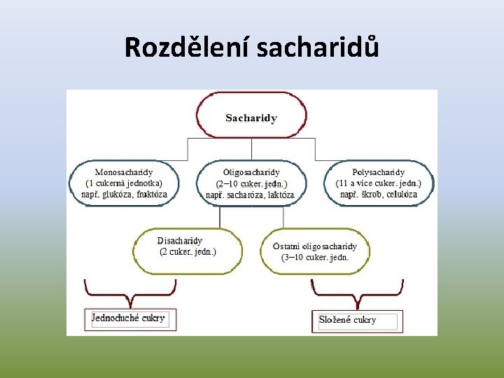 Rozdělení sacharidů 