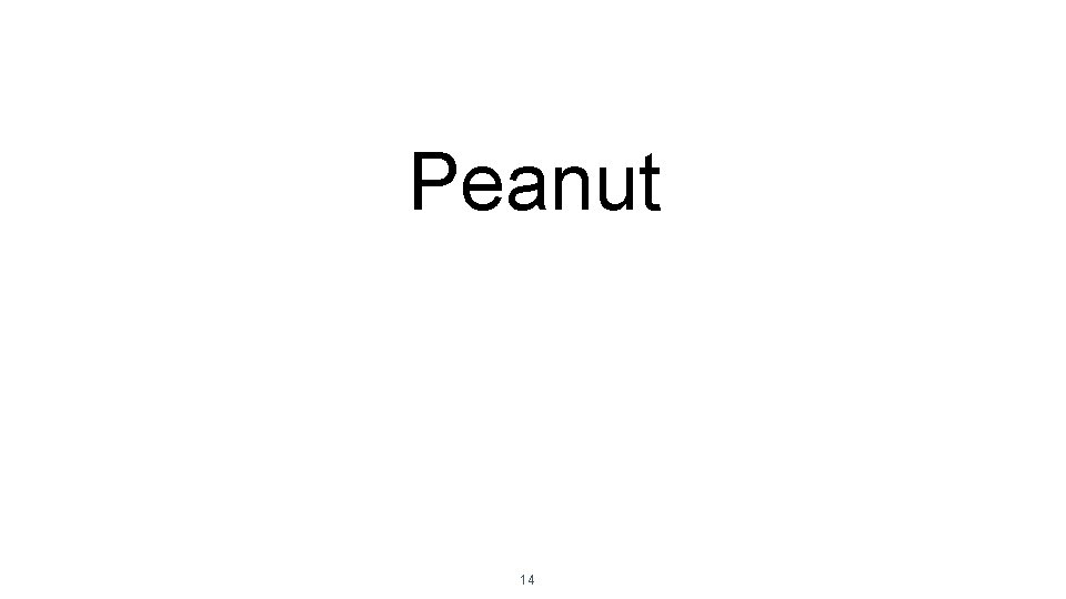 Peanut 14 