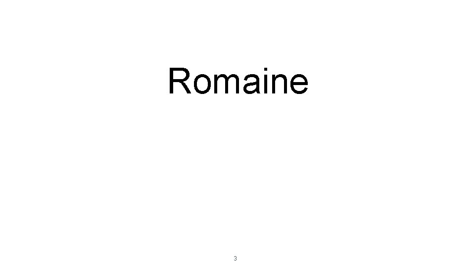 Romaine 3 