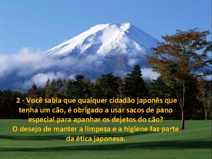  2 - Você sabia que qualquer cidadão japonês que tenha um cão, é