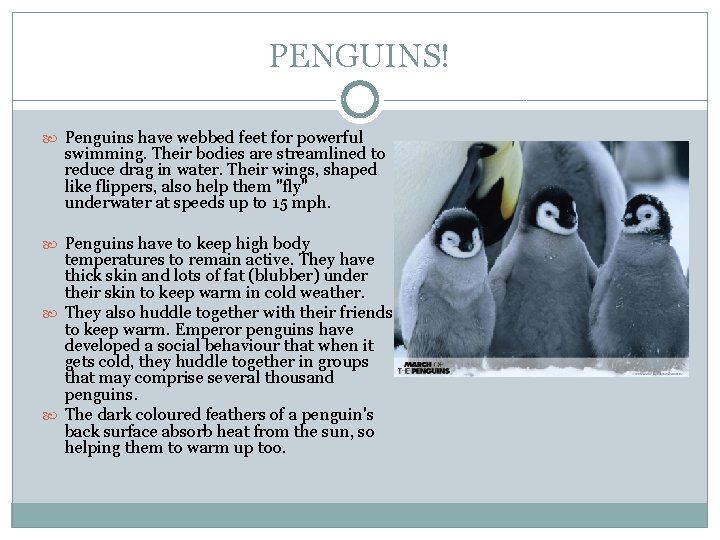 PENGUINS! Penguins have webbed feet for powerful swimming. Their bodies are streamlined to reduce