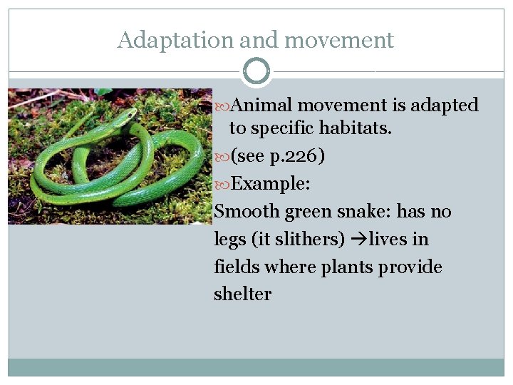 Adaptation and movement Animal movement is adapted to specific habitats. (see p. 226) Example: