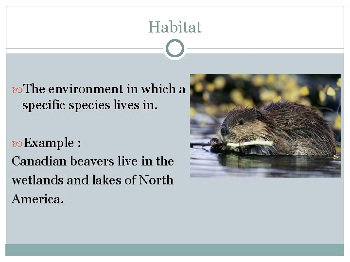 Habitat The environment in which a specific species lives in. Example : Canadian beavers