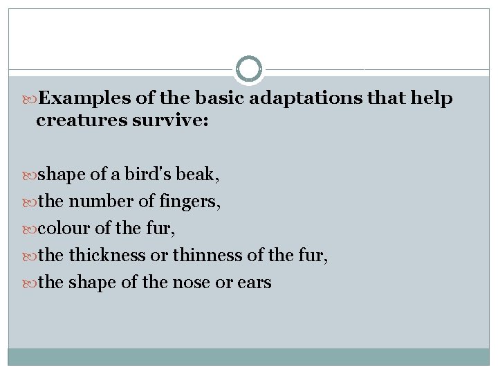  Examples of the basic adaptations that help creatures survive: shape of a bird's