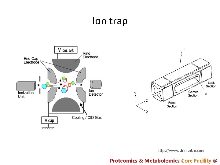 Ion trap http: //www. shimadzu. com Proteomics & Metabolomics Core Facility @ 
