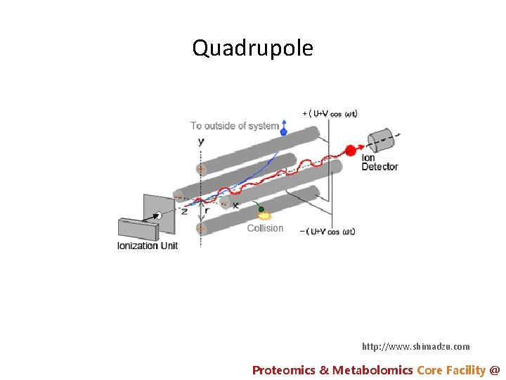 Quadrupole http: //www. shimadzu. com Proteomics & Metabolomics Core Facility @ 
