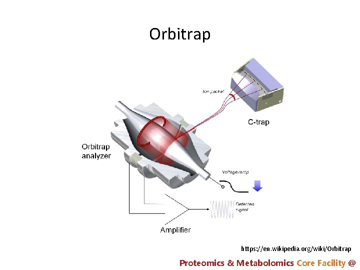 Orbitrap https: //en. wikipedia. org/wiki/Orbitrap Proteomics & Metabolomics Core Facility @ 