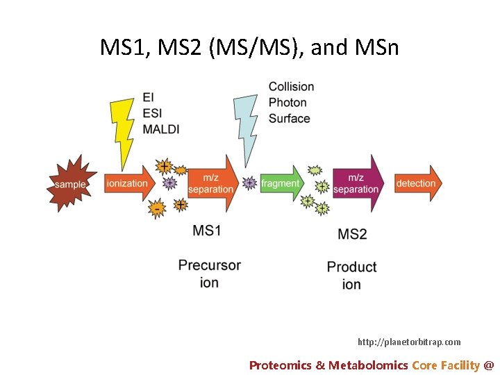 MS 1, MS 2 (MS/MS), and MSn http: //planetorbitrap. com Proteomics & Metabolomics Core