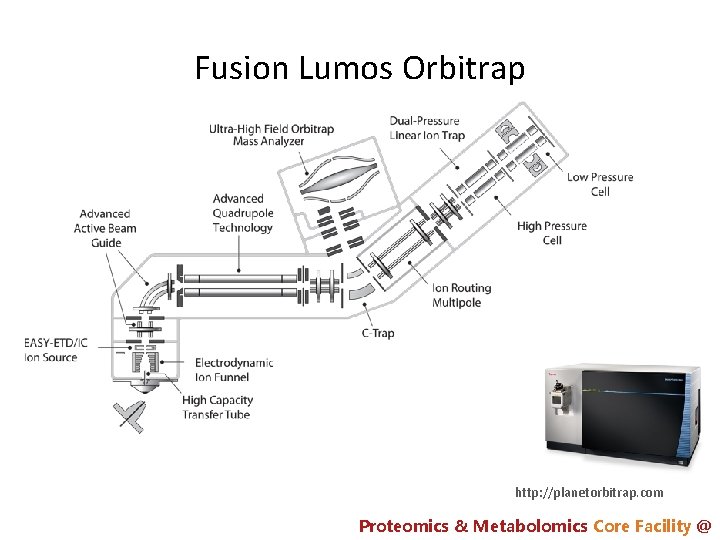 Fusion Lumos Orbitrap http: //planetorbitrap. com Proteomics & Metabolomics Core Facility @ 