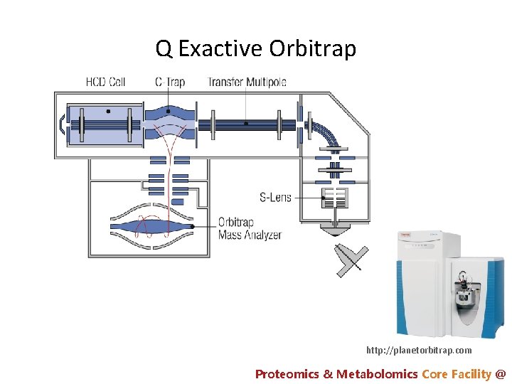 Q Exactive Orbitrap http: //planetorbitrap. com Proteomics & Metabolomics Core Facility @ 