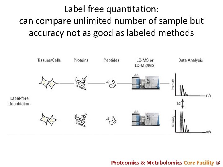 Label free quantitation: can compare unlimited number of sample but accuracy not as good