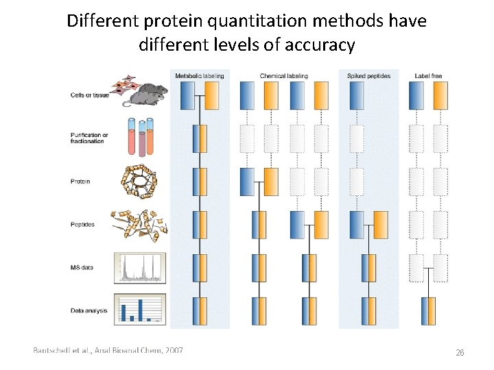 Different protein quantitation methods have different levels of accuracy 26 