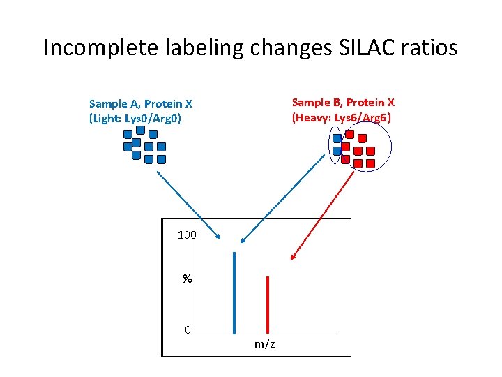 Incomplete labeling changes SILAC ratios Sample B, Protein X (Heavy: Lys 6/Arg 6) Sample