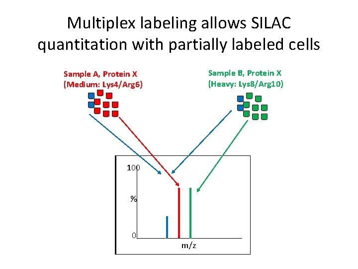 Multiplex labeling allows SILAC quantitation with partially labeled cells Sample B, Protein X (Heavy: