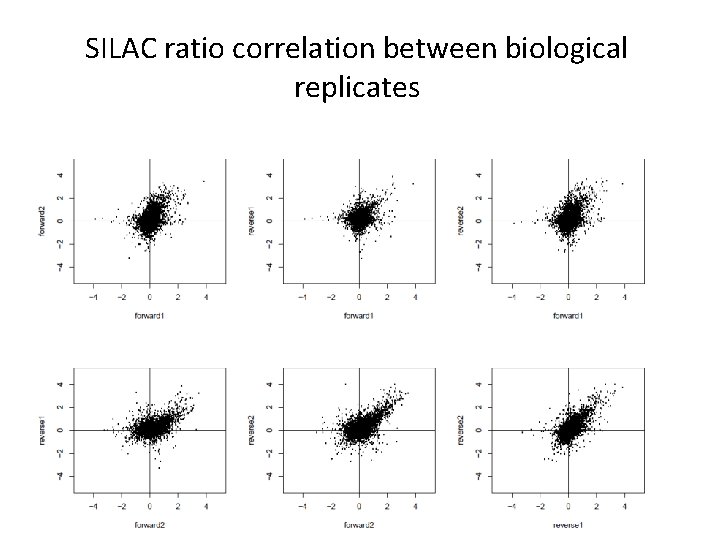 SILAC ratio correlation between biological replicates 