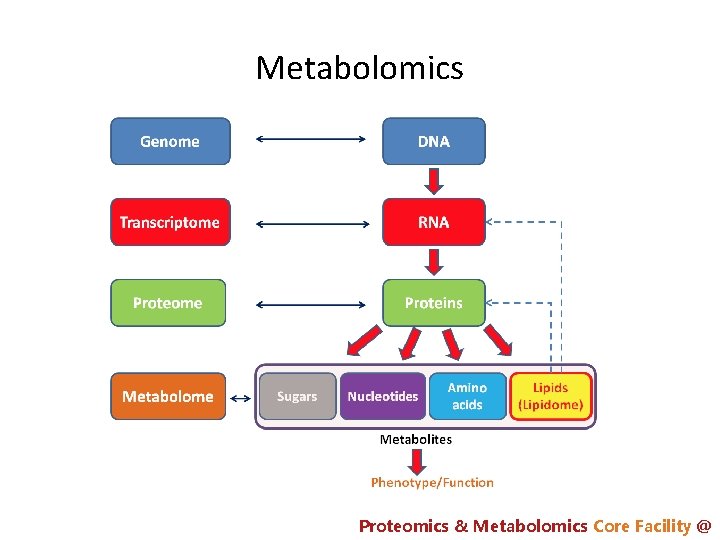 Metabolomics Proteomics & Metabolomics Core Facility @ 