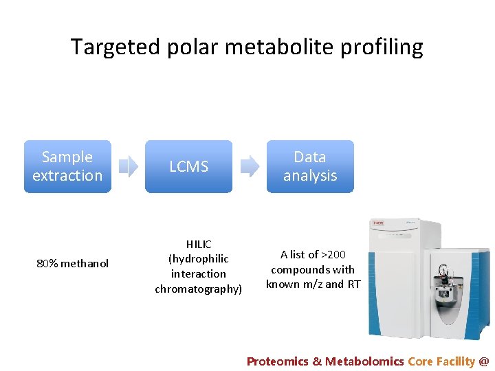 Targeted polar metabolite profiling Sample extraction 80% methanol LCMS HILIC (hydrophilic interaction chromatography) Data