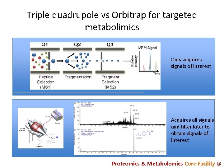Triple quadrupole vs Orbitrap for targeted metabolimics Only acquires signals of interest Acquires all