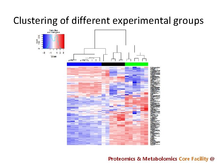 Clustering of different experimental groups Proteomics & Metabolomics Core Facility @ 