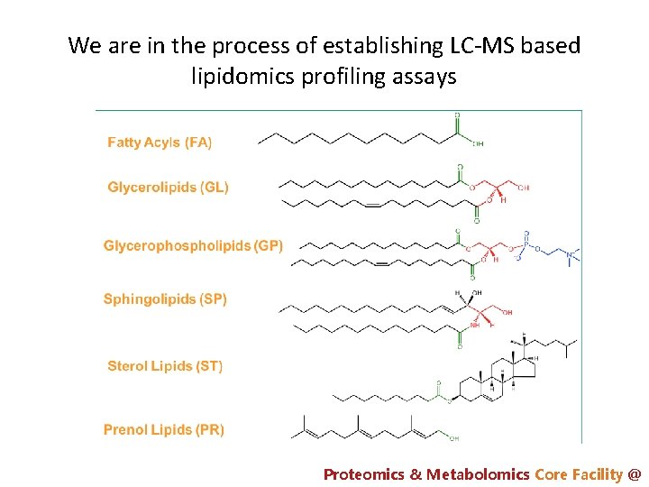 We are in the process of establishing LC-MS based lipidomics profiling assays Proteomics &