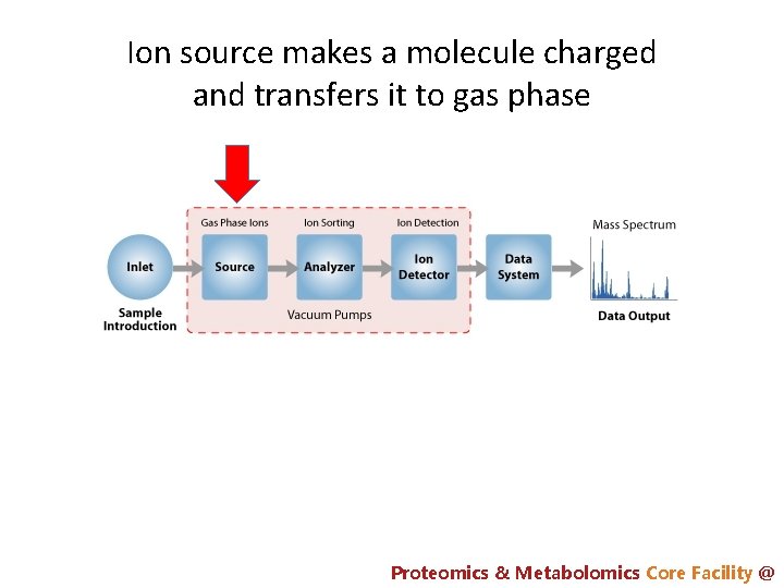 Ion source makes a molecule charged and transfers it to gas phase Proteomics &