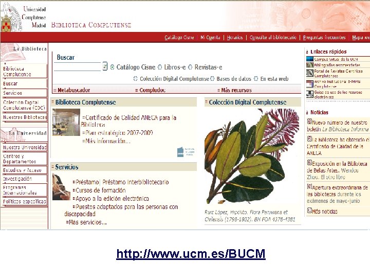 http: //www. ucm. es/BUCM 