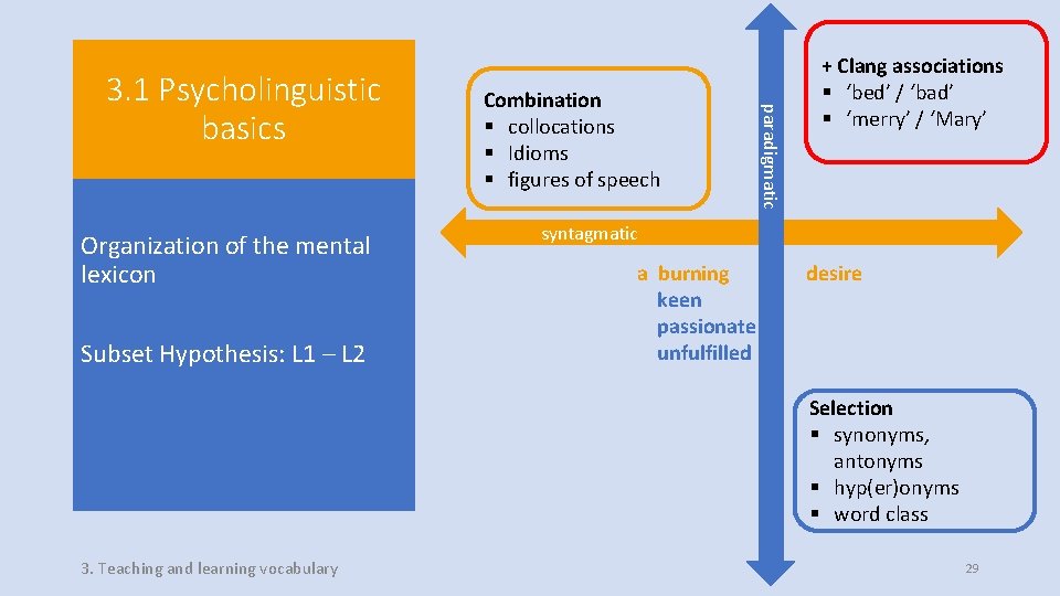 Organization of the mental lexicon Subset Hypothesis: L 1 – L 2 Combination §