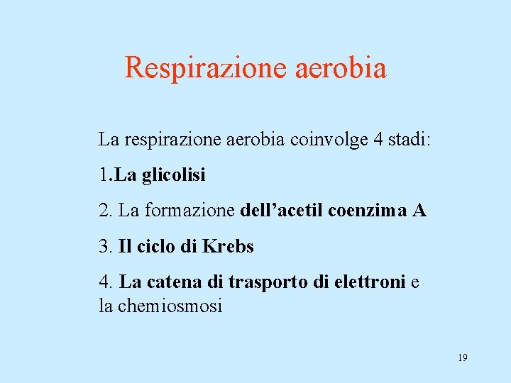Respirazione aerobia La respirazione aerobia coinvolge 4 stadi: 1. La glicolisi 2. La formazione