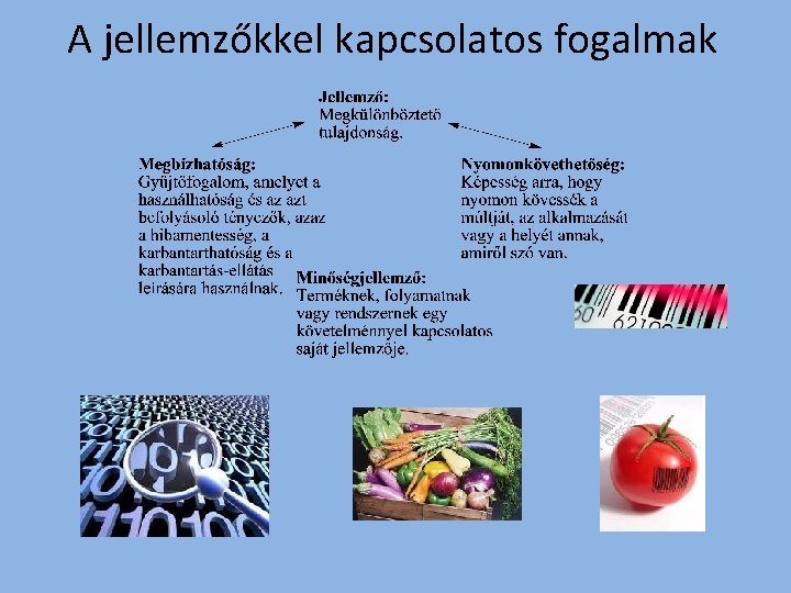 A jellemzőkkel kapcsolatos fogalmak 