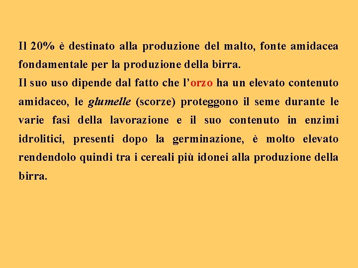 Il 20% è destinato alla produzione del malto, fonte amidacea fondamentale per la produzione