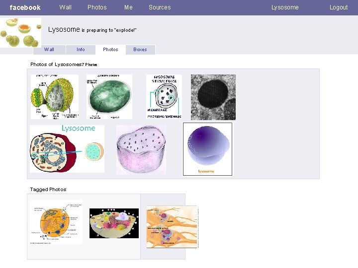 facebook Wall Photos Me Sources Lysosome is preparing to “explode!” Wall Info Photos of