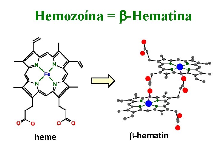 Hemozoína = b-Hematina heme b-hematin 