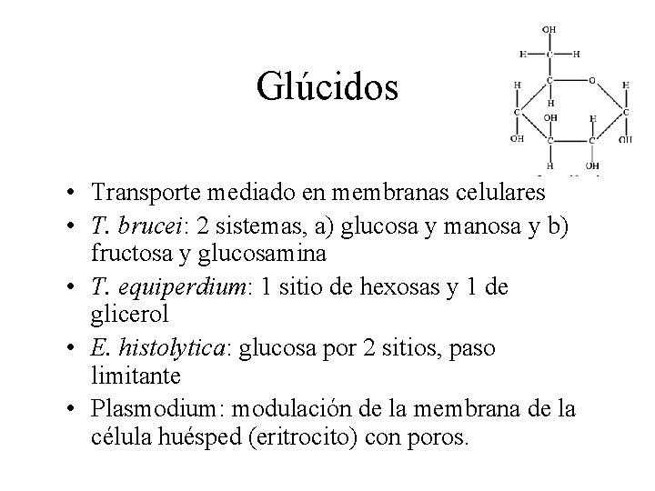 Glúcidos • Transporte mediado en membranas celulares • T. brucei: 2 sistemas, a) glucosa