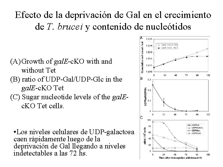 Efecto de la deprivación de Gal en el crecimiento de T. brucei y contenido