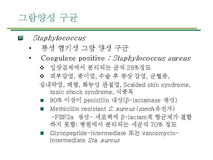 그람양성 구균 Staphylococcus • • 통성 혐기성 그람 양성 구균 Coagulase positive : Staphylococcus