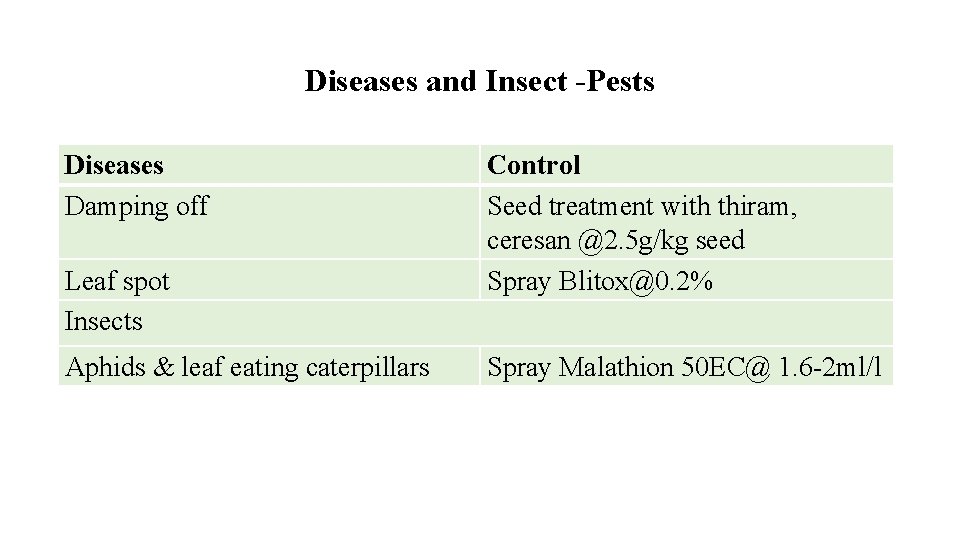 Diseases and Insect -Pests Diseases Damping off Leaf spot Insects Aphids & leaf eating
