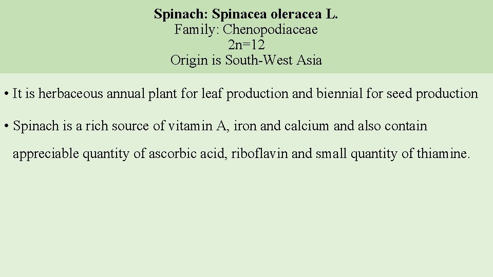 Spinach: Spinacea oleracea L. Family: Chenopodiaceae 2 n=12 Origin is South-West Asia • It