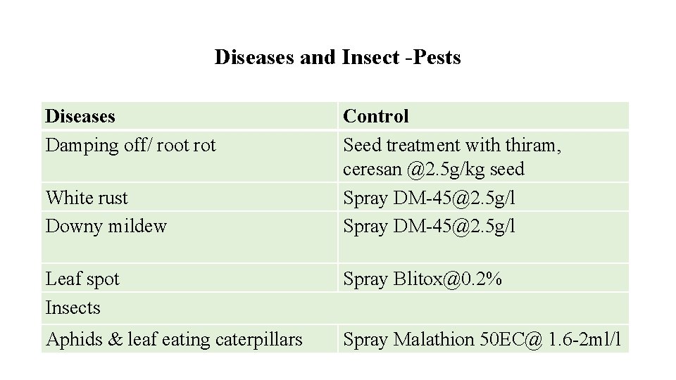 Diseases and Insect -Pests Diseases Damping off/ root rot White rust Downy mildew Control