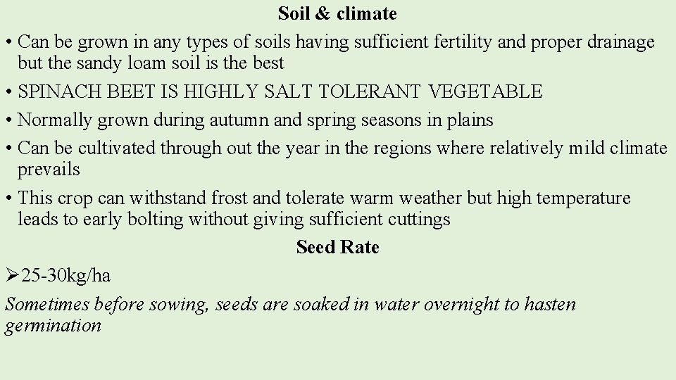 Soil & climate • Can be grown in any types of soils having sufficient