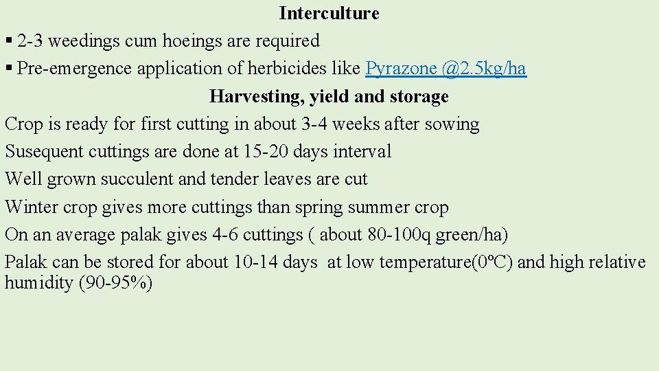 Interculture § 2 -3 weedings cum hoeings are required § Pre-emergence application of herbicides