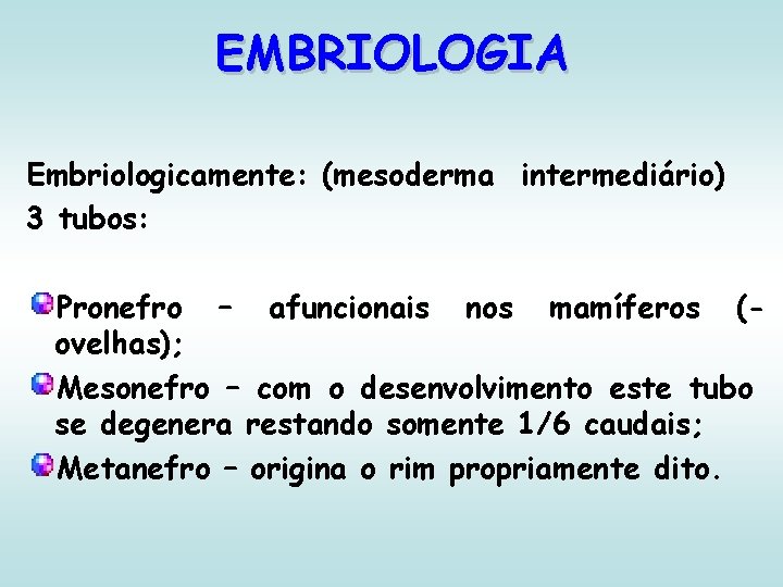 EMBRIOLOGIA Embriologicamente: (mesoderma intermediário) 3 tubos: Pronefro – afuncionais nos mamíferos (ovelhas); Mesonefro –