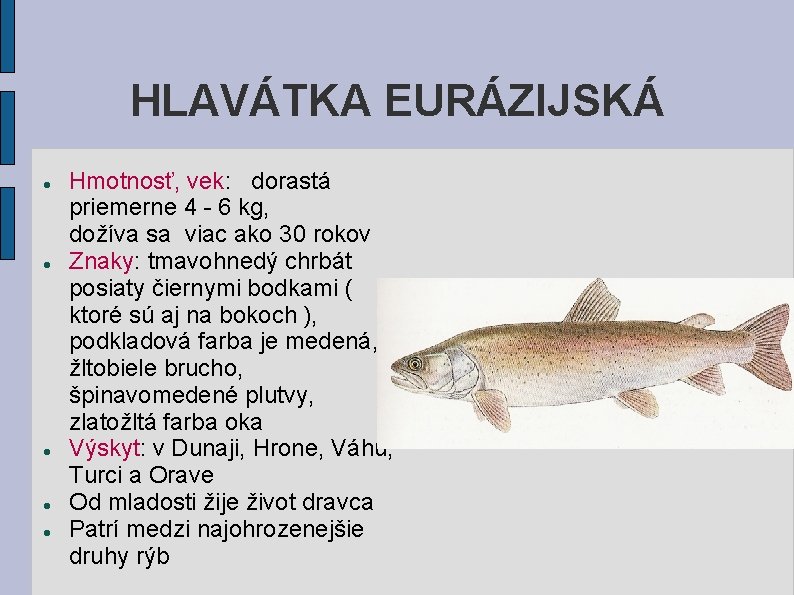 HLAVÁTKA EURÁZIJSKÁ Hmotnosť, vek: dorastá priemerne 4 - 6 kg, dožíva sa viac ako